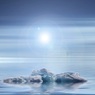 Bloomberg: необычно тёплая зима может быть связана с погодной аномалией в Арктике