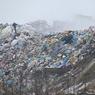 Гринпис запустил новый проект по раздельному сбору отходов