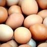 Учёные рассказали о новом полезном свойстве яиц