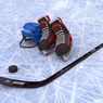 Молодежная сборная России по хоккею вошла в тройку победителей