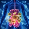 Вирус папилломы человека может "пристроиться" даже в кишечнике и спровоцировать рак