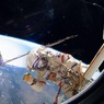 Пользователи Сети гадают, зачем космонавтам США камуфляжная раскраска новой формы