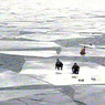 Спасатели спасли более сотни сибиряков, унесенных на оторвавшейся льдине