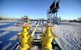 Польша приостановила поставки газа на Украину