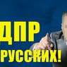 Адвокат добивается от Жириновского извинений перед кавказцами