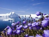 Новая эра начнется с таяния арктических ледников
