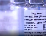 Гинцбург рассказал о побочных эффектах от вакцины "Спутник V"