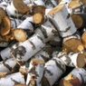 В России проходит благотворительная акция «Подари дрова»