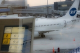 В аэропорту Домодедово был задержан рейс из-за пьяного мужчины