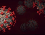 Во Франции обнаружили новый вариант коронавируса