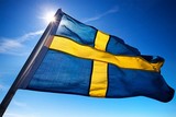Шведский МИД вызвал посла РФ в Стокгольме