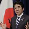Глава Японии назвал совместное освоение Курил с Россией «плюсом» для мирного договора