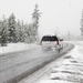 Тело пропавшей девушки-водителя BlaBlaCar обнаружили под Серпуховом