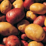 Американские диетологи рассказали, как любовь к картошке сказывается на фигуре