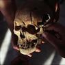 На развалинах дома в Королеве обнаружен скелет человека