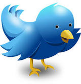 Twitter выпустит платную версию микроблогов