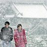 Сильные снегопады оставили без света порядка 1,4 домов в Японии