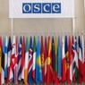 ПА ОБСЕ признала присутствие российских войск на Украине
