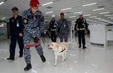 В аэропорту задержали астраханского исламиста из Турции