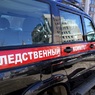 В Новосибирской области задержан руководитель рухнувшего конного клуба