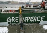 Адвокат Greenpeace: Даже Брейвика судили без клетки!