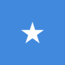 Президентом Сомали стал американский гражданин