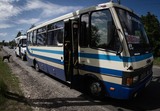 На Украине водят экскурсии по местам, подвергшимся обстрелам
