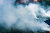 Ущерб от пожаров в Сибири составил 2,4 млрд рублей