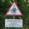 В Новосибирской области дачница умерла от укуса клеща
