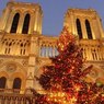 Москва отправит в Париж главную рождественскую елку