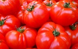 Биологи доказали полезные свойства томатов при борьбе с раком