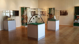 Выставки искусства Татарстана открылись в Москве