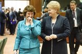 Литва обозначила приоритеты председательства в СБ ООН