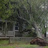 Появились первые фото и видео последствий урагана «Дориан» в Канаде
