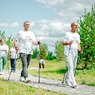 Губернатор Подмосковья назвал количество участников программы «Активное долголетие»