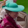 Британская принцесса Анна частично потеряла память после инцидента с лошадью