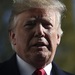 Трамп прокомментировал предварительные итоги выборов в Конгресс