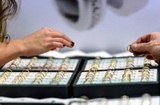 В Турции ирландец проглотил кольцо с бриллиантом стоимостью 35 000 евро