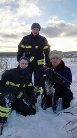 В новой Москве сотрудники МЧС  спасли собаку, провалившуюся в канализационный люк