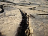 Ученые назвали место, где произойдет землетрясение века