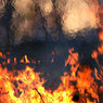 На нефтебазе в Киевской области полностью выгорели четыре резервуара