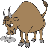 Жителя Тульской области забодал разъярённый бык