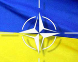 Яценюк: Киев еще не может вступить в НАТО