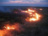 В Хакасии степной пожар уничтожил пять домов