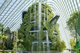 В Сингапуре появился самый высокий в мире вертикальный сад