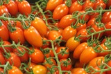 «Русагро» готово заменить турецкие помидоры тепличными
