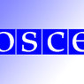ОБСЕ созывает срочное совещание из-за крушения Боинга на Украине