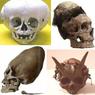 Сообщение о сундуке с черепами неизвестных существ исчезло с сайта «Интерфакса»