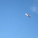 В Красноярском крае разбился самолет Ан-2
