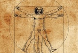 «Витрувианский человек» Леонардо да Винчи оказался близок к современному идеалу
